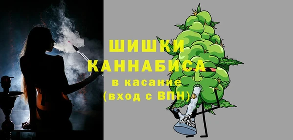 сатива Алзамай