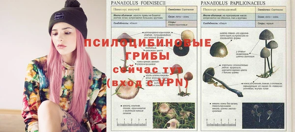 марки nbome Абинск