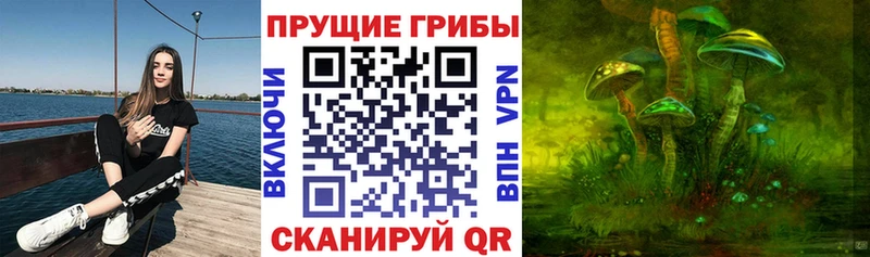 Псилоцибиновые грибы мицелий Сураж