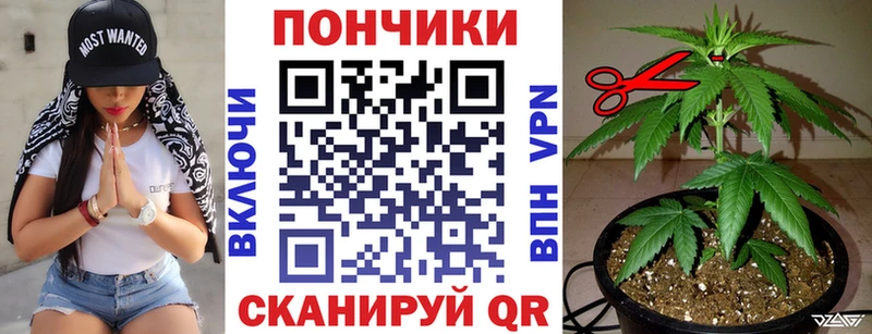 Каннабис SATIVA & INDICA  мега ссылка  Сураж 
